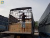 Vận chuyển gửi hàng Hải Dương giao phát ship đi chành nhà xe Hải Phòng (2)