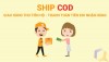 Giao hàng COD là gì và dịch vụ ship COD hoạt động như thế nào?